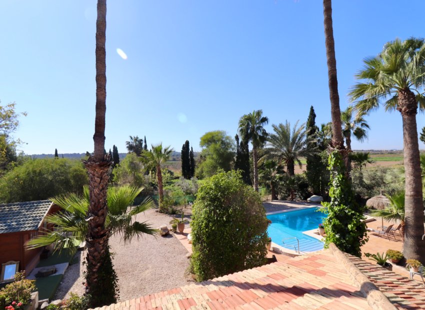 Reventa - Finca   -
Ciudad Quesada - Rojales - Heredades