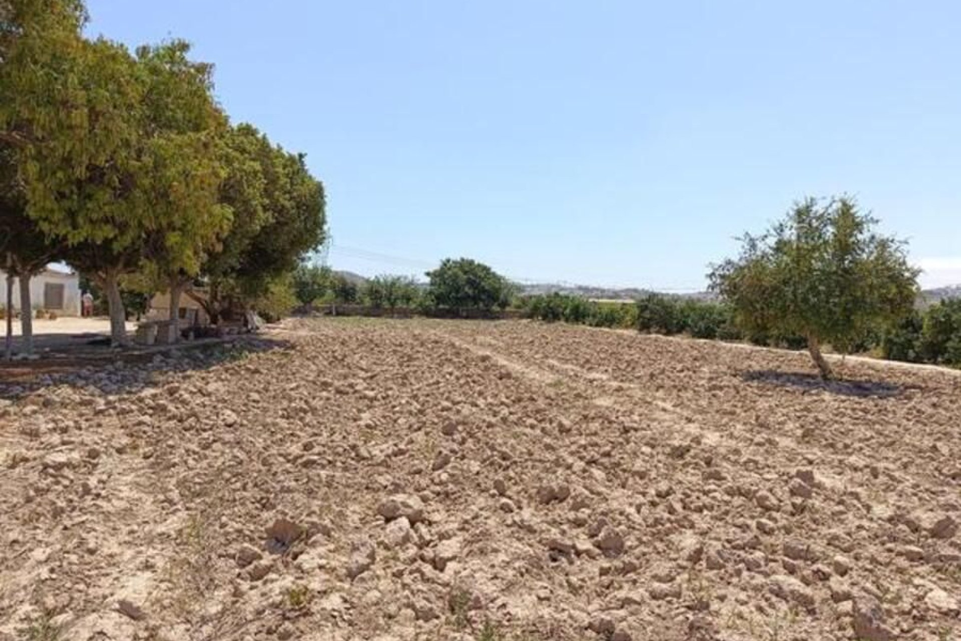Reventa - Finca   -
Ciudad Quesada - Rojales - Rojales