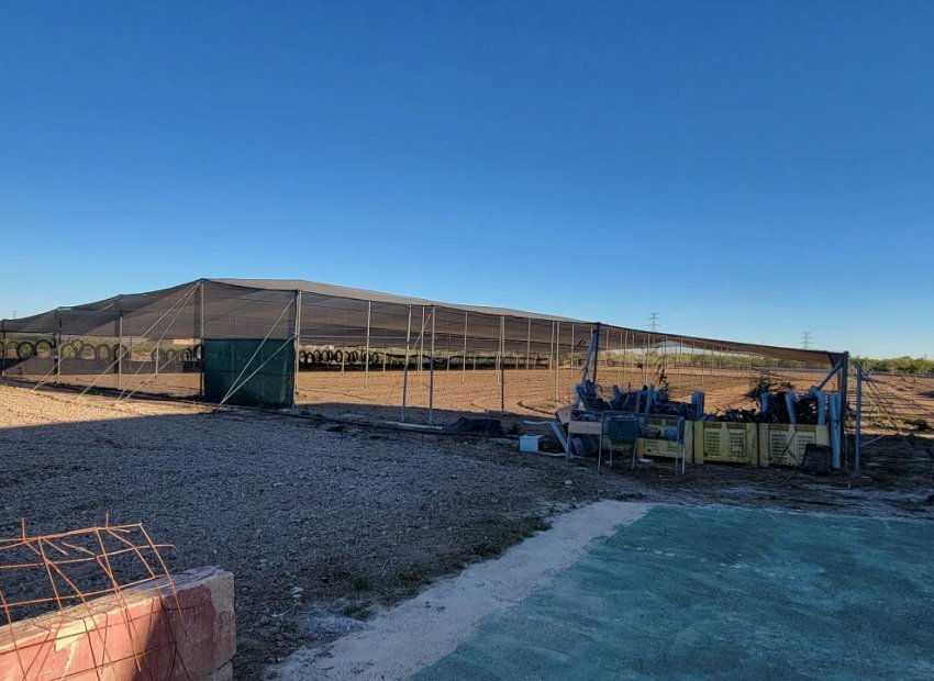 Reventa - Finca   -
San Miguel de Salinas