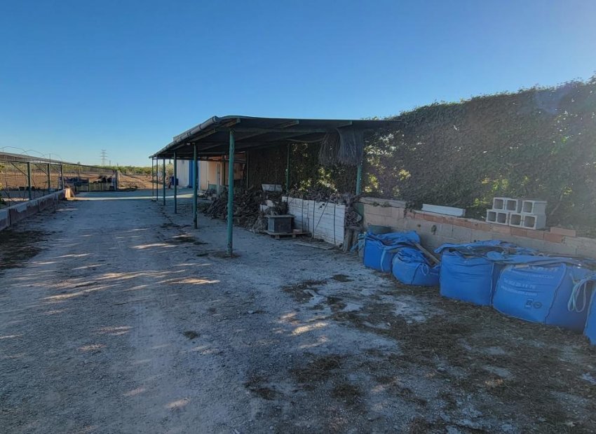 Reventa - Finca   -
San Miguel de Salinas