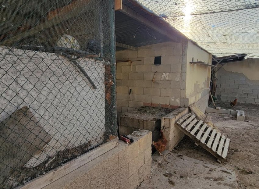 Reventa - Finca   -
San Miguel de Salinas