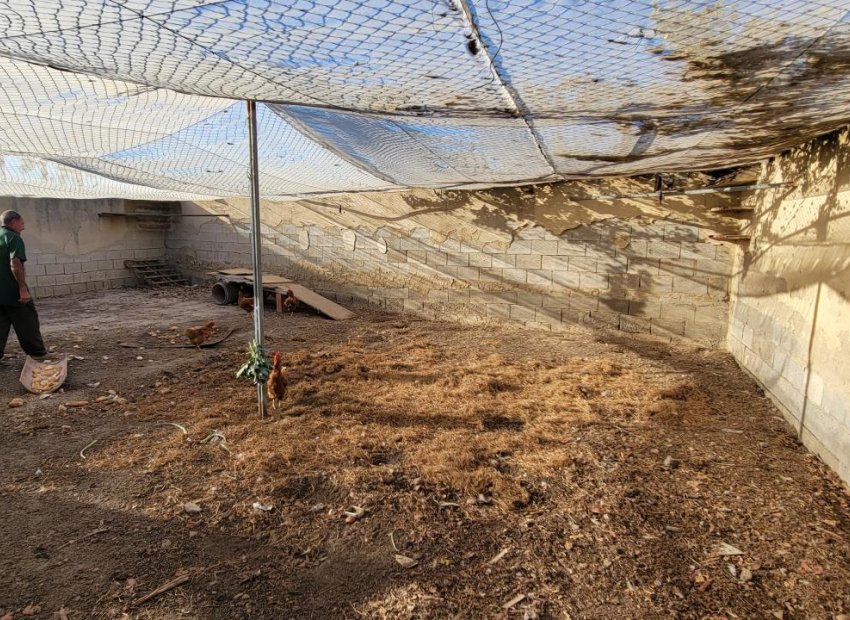 Reventa - Finca   -
San Miguel de Salinas