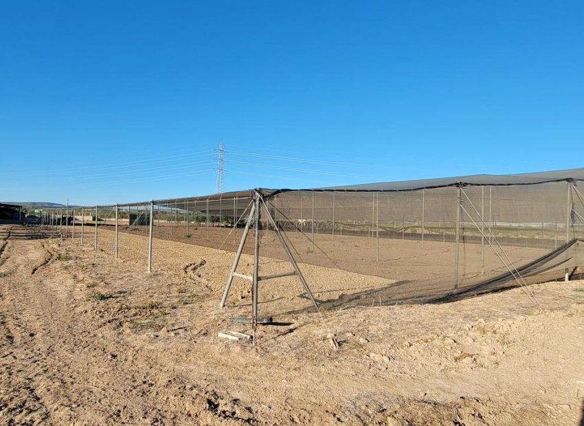 Reventa - Finca   -
San Miguel de Salinas