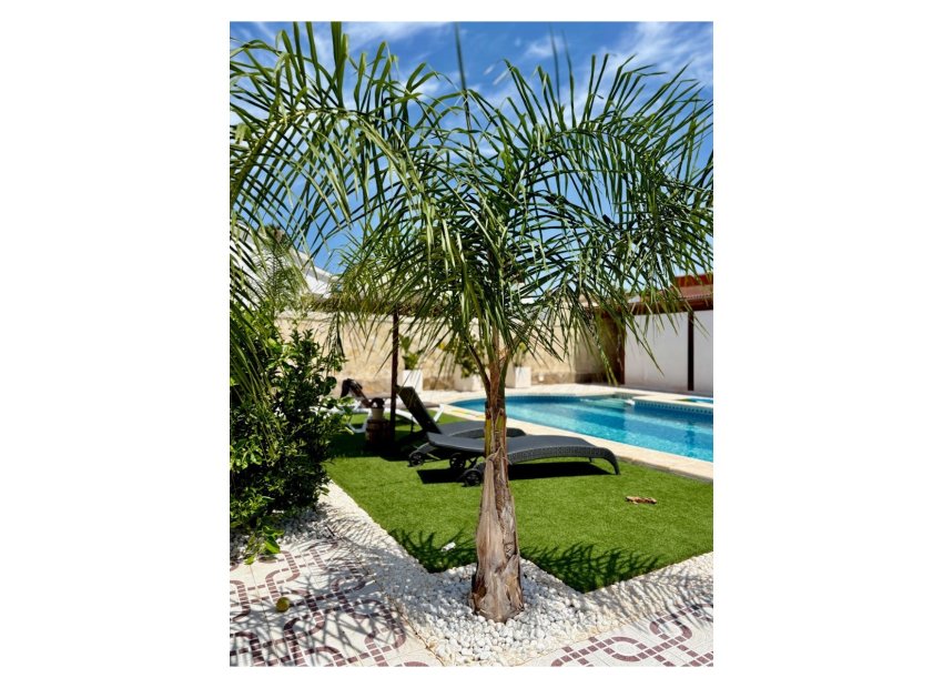 Reventa - Independiente / Villa -
Ciudad Quesada - Rojales - Quesada Center