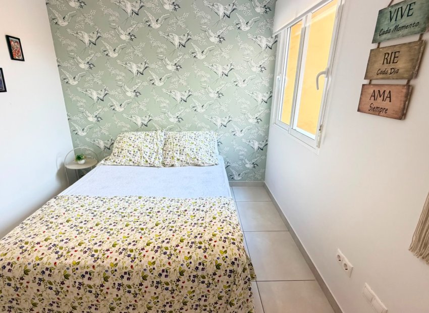 Reventa - Piso - Planta baja -
Torrevieja - Aguas Nuevas