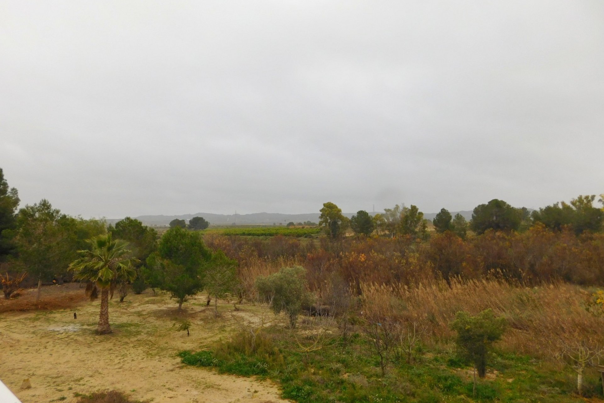 Revente - Appartement -
Torremendo