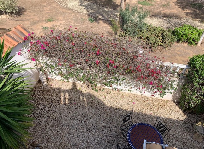 Revente - Détaché / Villa -
Guardamar del Segura - El Raso