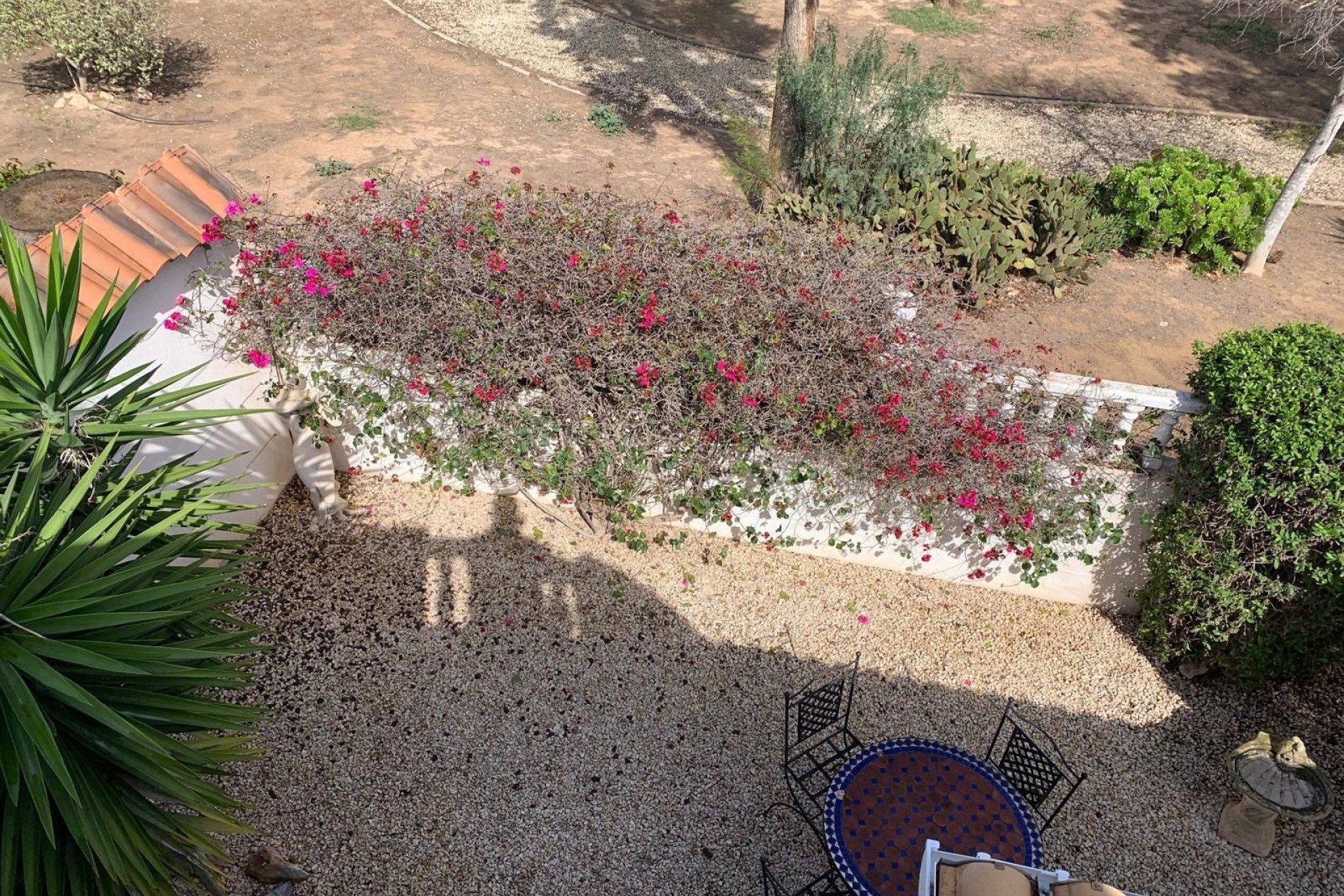 Revente - Détaché / Villa -
Guardamar del Segura - El Raso