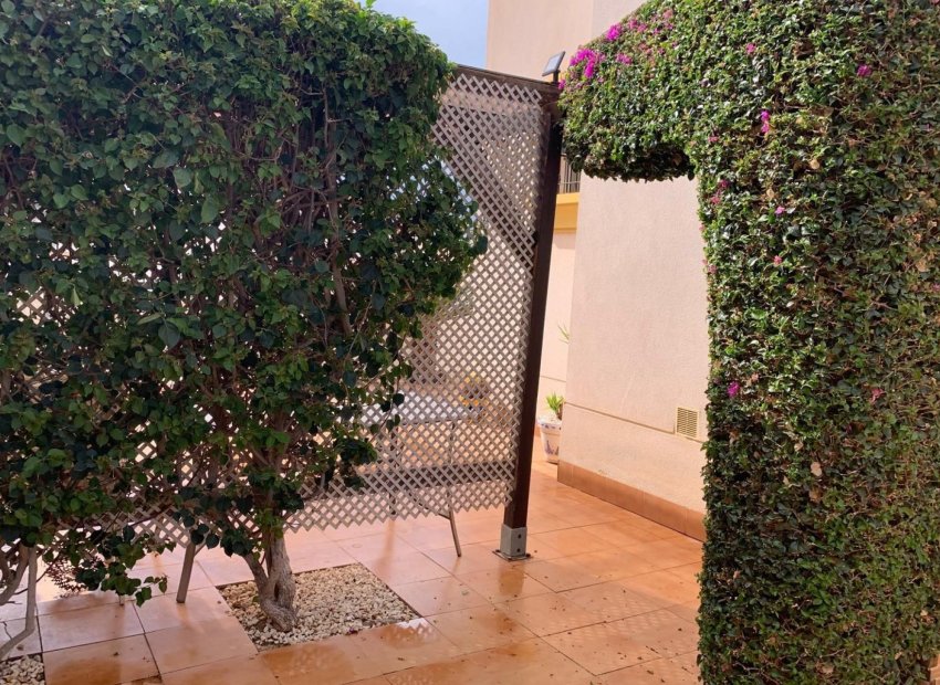 Revente - Détaché / Villa -
Guardamar del Segura - El Raso