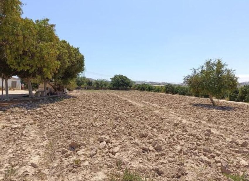 Revente - Finca   -
Ciudad Quesada - Rojales - Rojales