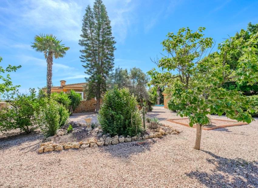 Revente - Finca   -
Ciudad Quesada - Rojales - Rojales