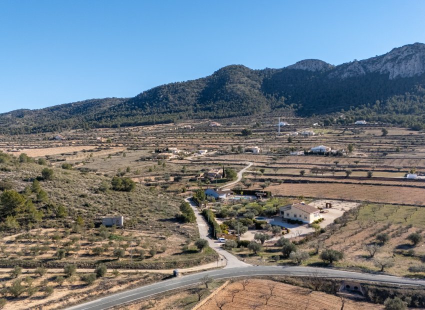 Revente - Finca   -
La Zarza