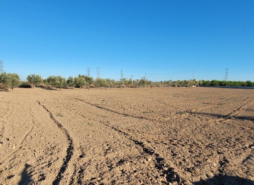 Revente - Finca   -
San Miguel de Salinas