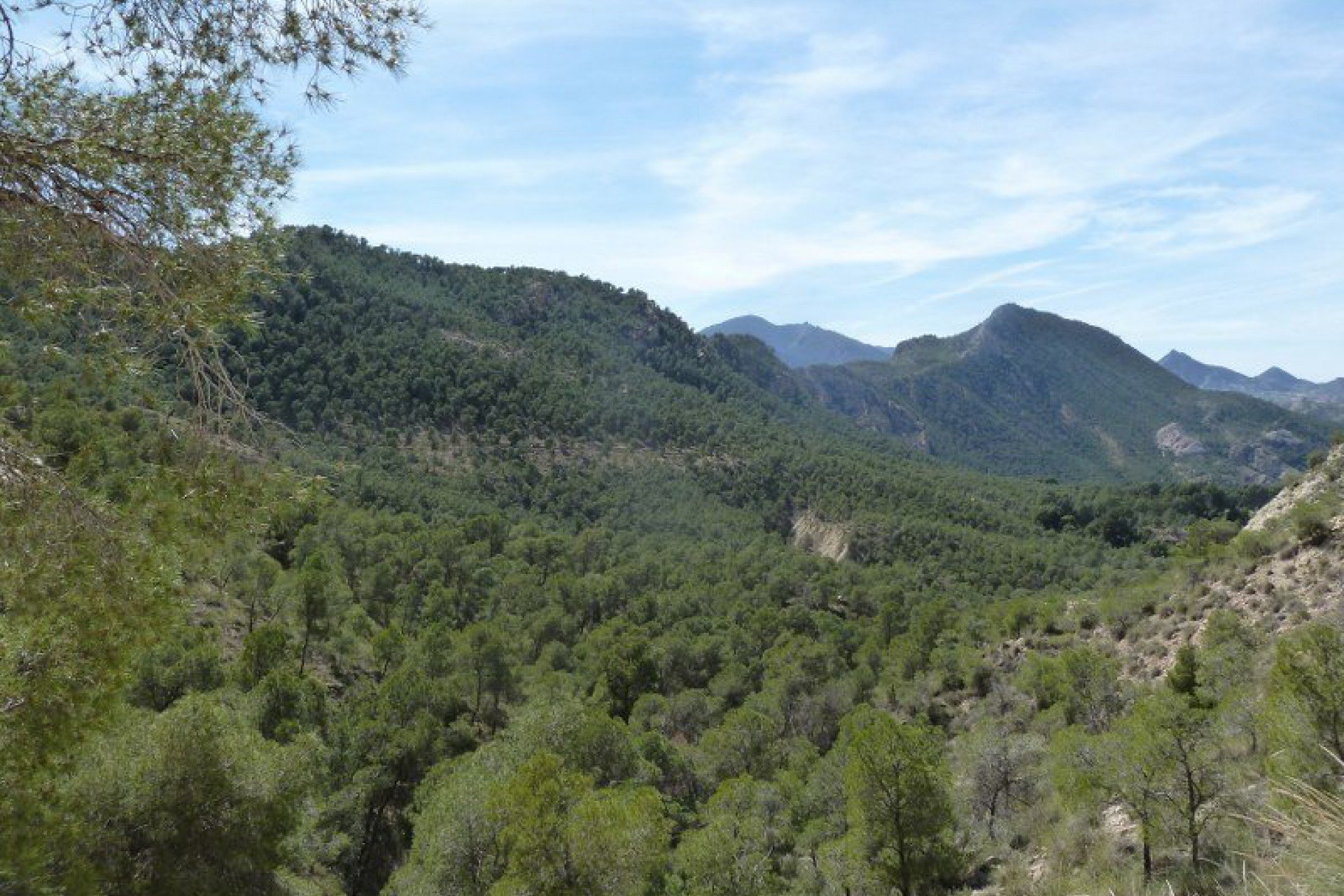 Revente - Jumelée -
Murcia