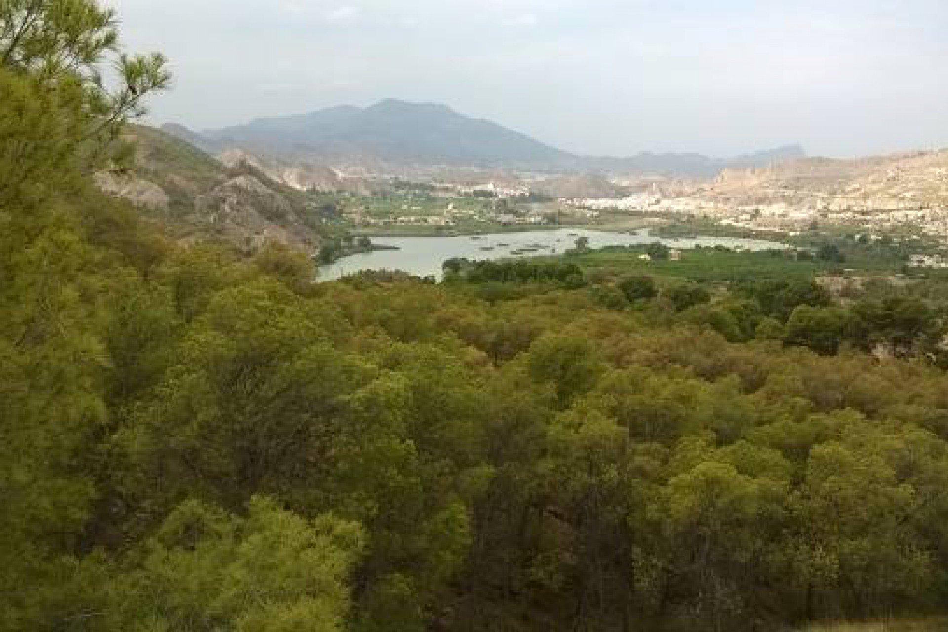 Revente - Jumelée -
Murcia