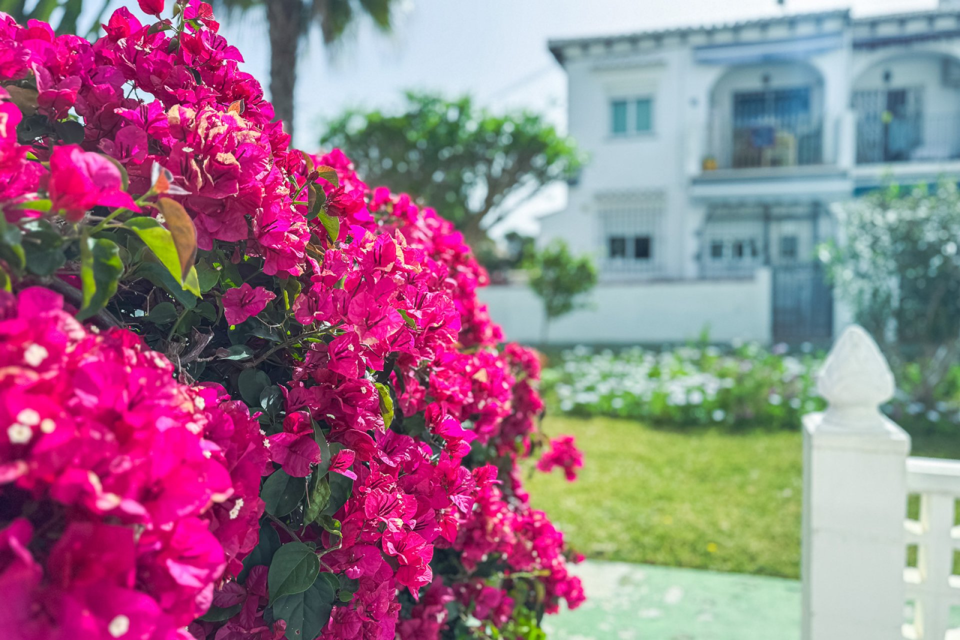Revente - Maison individuelle -
Torrevieja - Lago Jardin