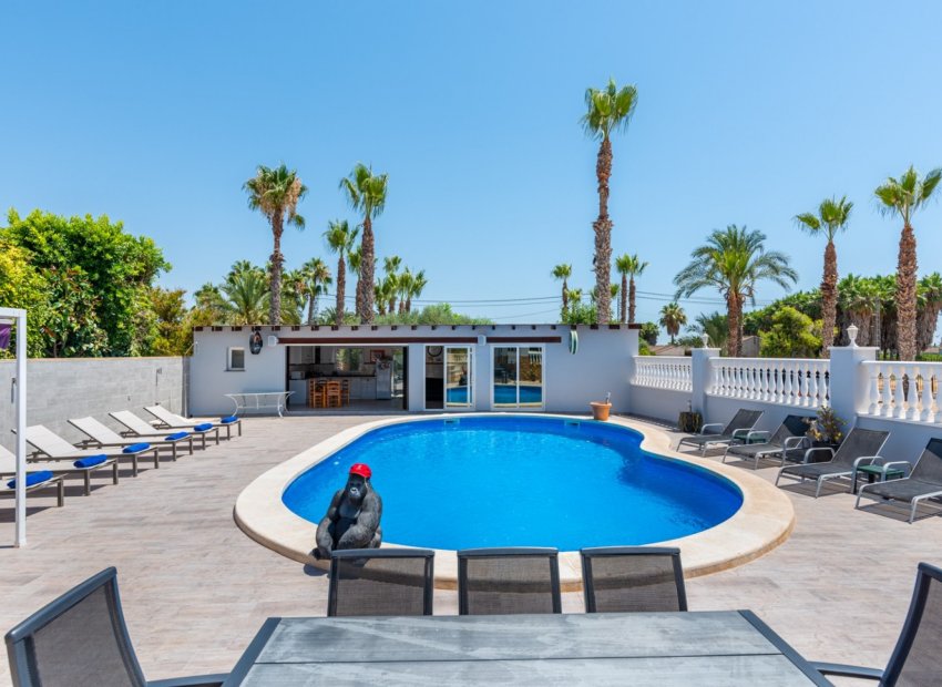 Revente - Propriété à la campagne -
Catral