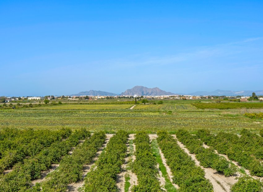 Wiederverkauf - Apartment -
Daya Nueva - Costa Blanca South