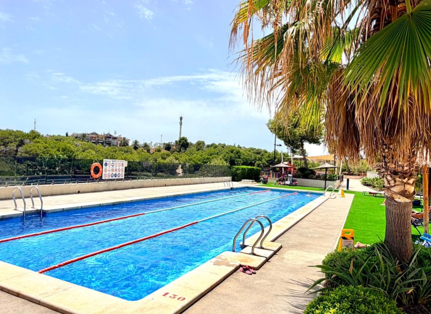 Wiederverkauf - Apartment -
Orihuela Costa - La Zenia