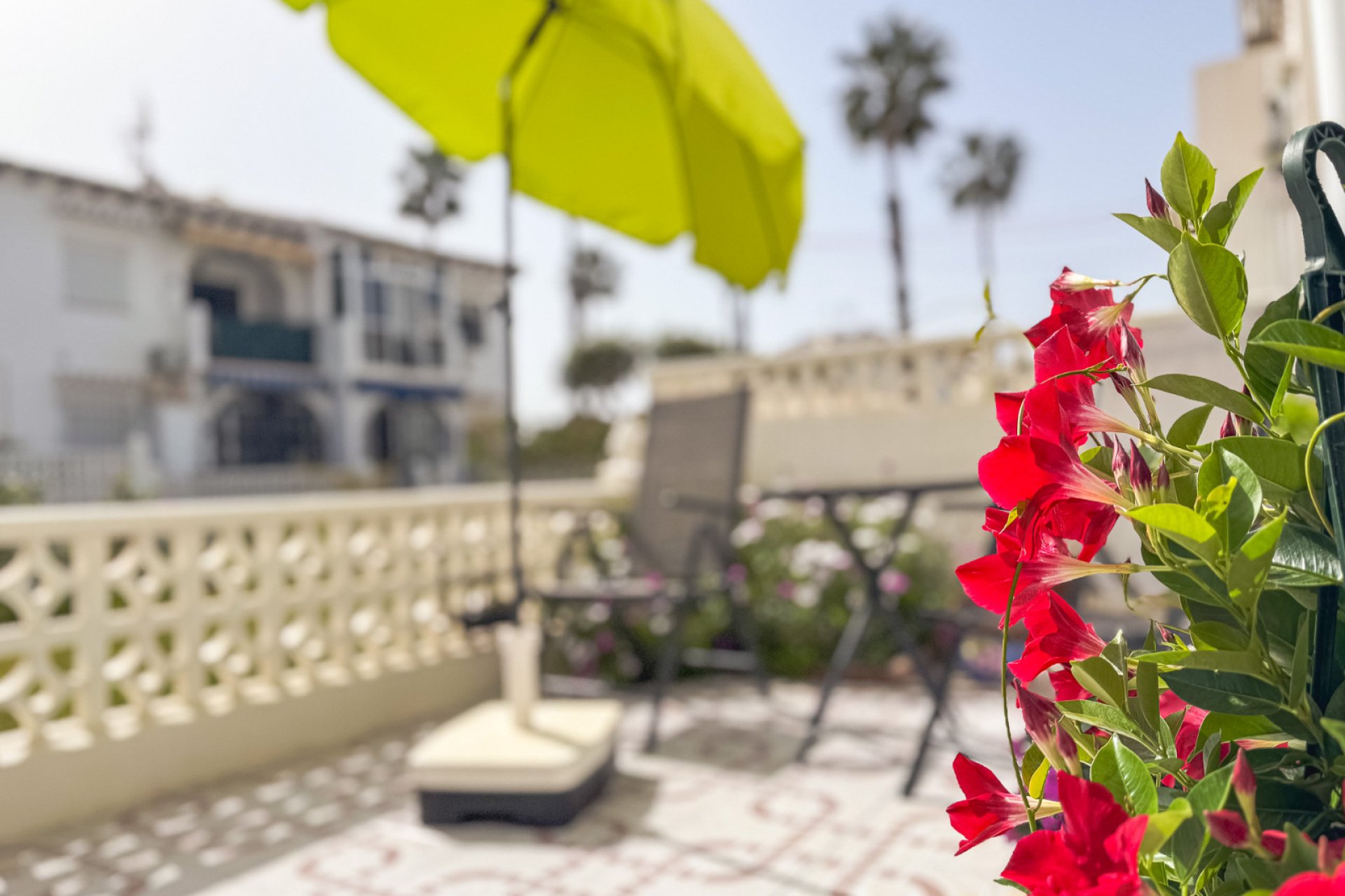 Wiederverkauf - Bungalow -
Torrevieja - Lago Jardin
