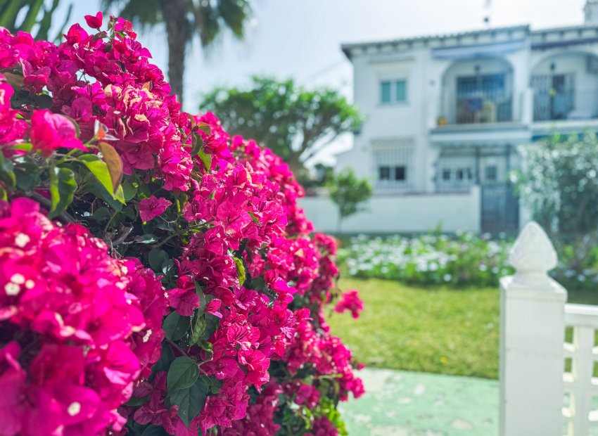Wiederverkauf - Bungalow -
Torrevieja - Lago Jardin