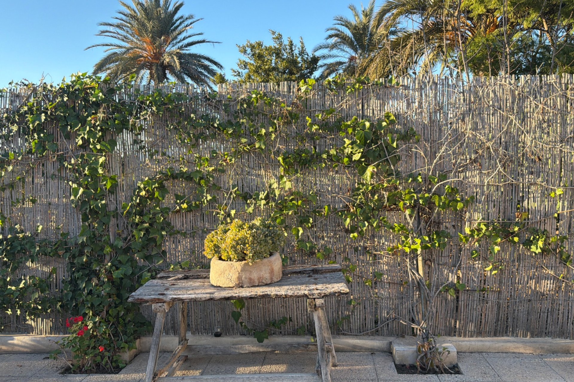 Wiederverkauf - Doppelhaushälfte -
Dolores