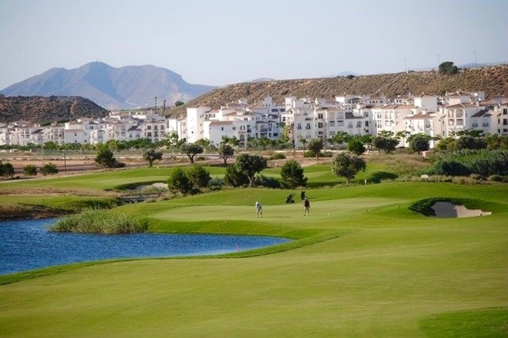 Wiederverkauf - Erdgeschosswohnung -
Sucina - Hacienda Riquelme Golf