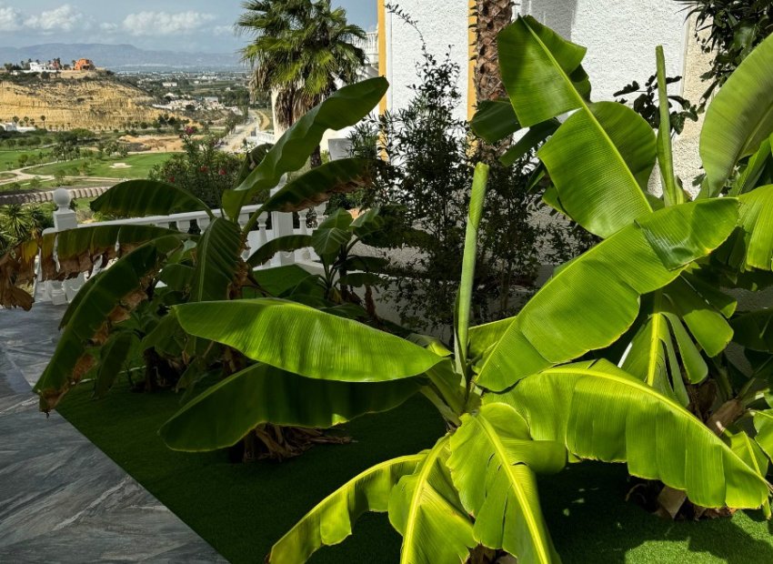 Wiederverkauf - Freistehend / Villa -
Ciudad Quesada - Rojales - Ciudad Quesada