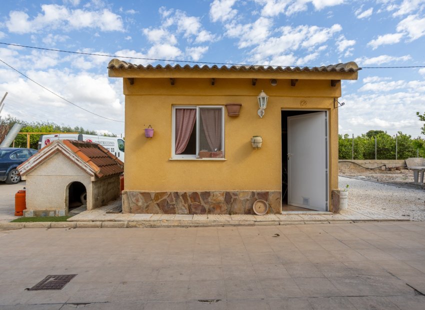 Wiederverkauf - Freistehend / Villa -
Elche - La Hoya
