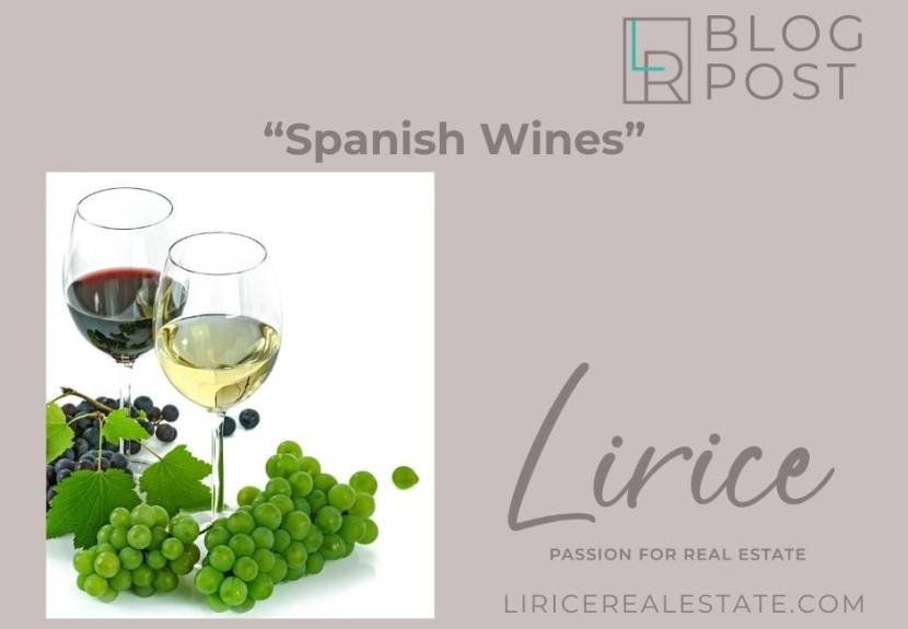 Spanish Wines