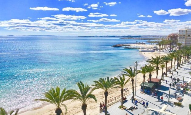 Obra nueva - Bungalow -
Torrevieja - Lago Jardín II