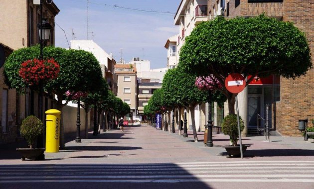 Obra nueva - Villa -
Torre Pacheco