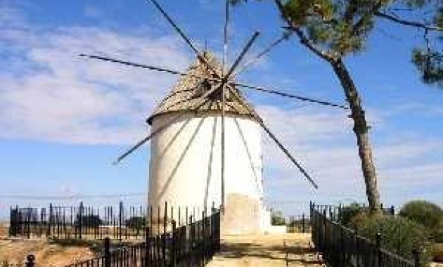 Obra nueva - Villa -
Torre Pacheco