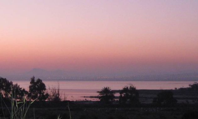 Nieuwbouw Woningen - Gelijkvloers -
Guardamar del Segura - El Raso