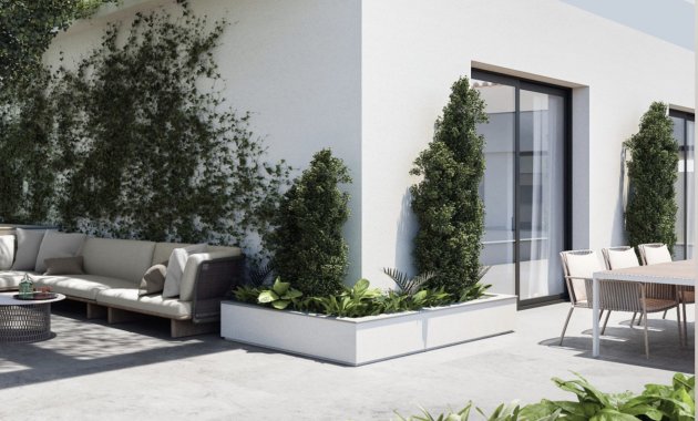 Neue Gebäude - Penthouse -
Torrevieja