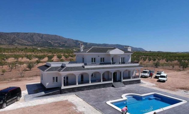 New Build - Villa -
Pinoso - Camino Del Prado