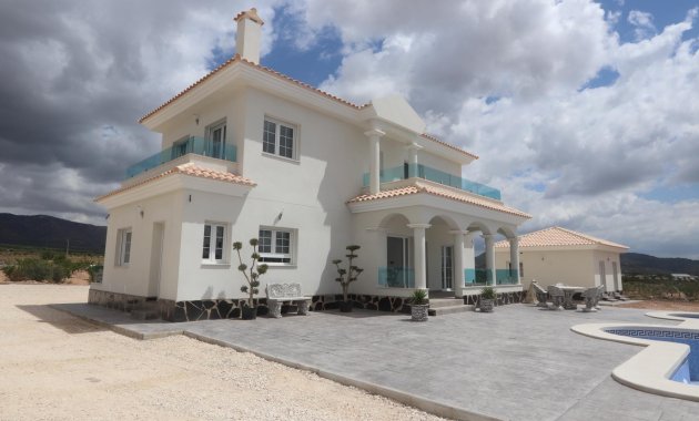 Obra nueva - Villa -
Pinoso - Camino Del Prado