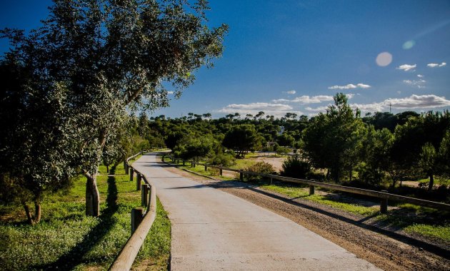 Nouvelle construction - Villa -
Rojales - Doña Pepa