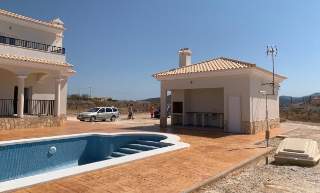 Nouvelle construction - Villa -
Pinoso - Camino Del Prado