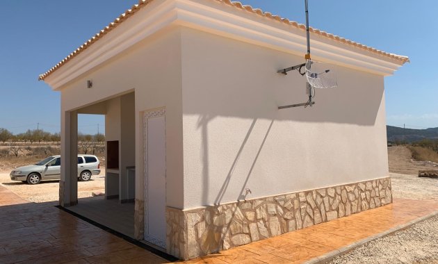 Nouvelle construction - Villa -
Pinoso - Camino Del Prado