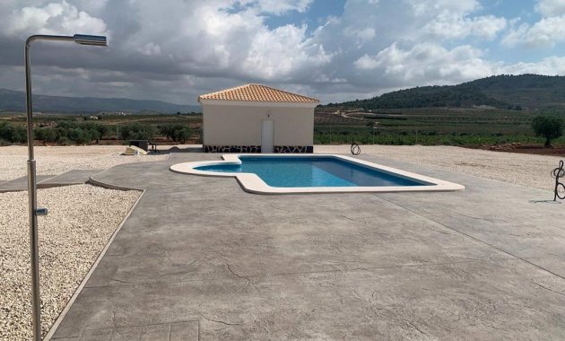 New Build - Villa -
Pinoso - Camino Del Prado