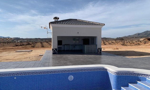 New Build - Villa -
Pinoso - Camino Del Prado