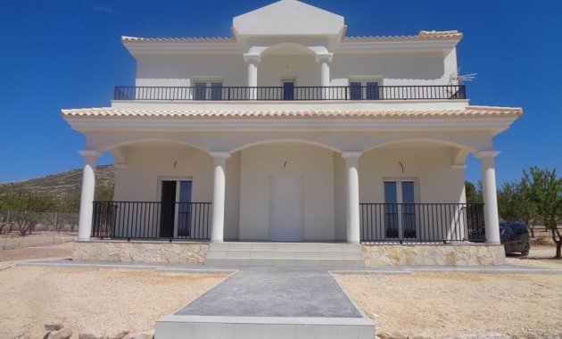 Obra nueva - Villa -
Pinoso - Camino Del Prado