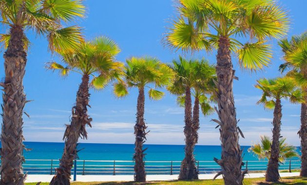 Nieuwbouw Woningen - Rijwoning -
Orihuela Costa