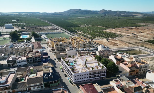 Obra nueva - Planta baja -
Algorfa