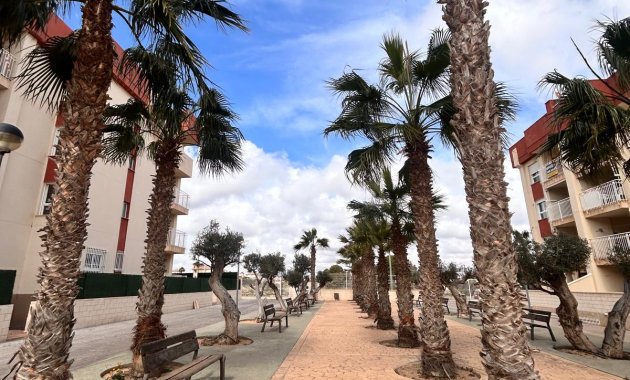 Obra nueva - Planta baja -
Orihuela Costa - Lomas de Cabo Roig