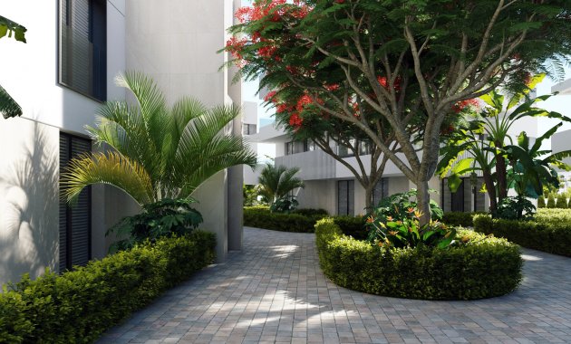 Obra nueva - Planta baja -
Torre Pacheco - Santa Rosalía