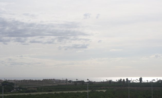 Obra nueva - Casa adosada -
Torrevieja