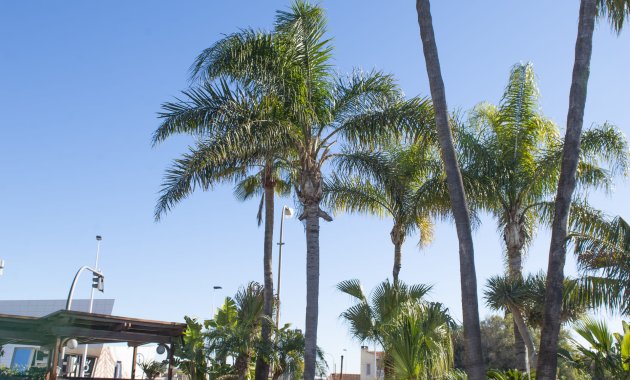 Neue Gebäude - Freistehend / Villa -
San Pedro del Pinatar - San Pedro Del Pinatar