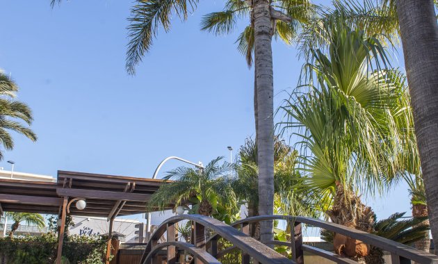 Neue Gebäude - Freistehend / Villa -
San Pedro del Pinatar - San Pedro Del Pinatar